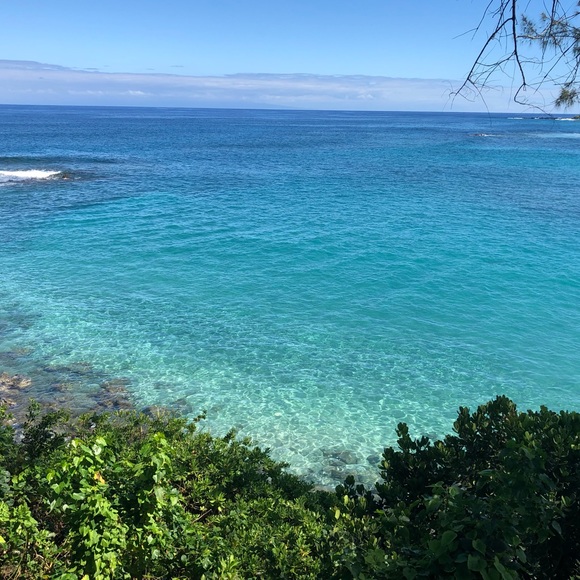 Meet your Posher, Fawn - Picture 1 of 1